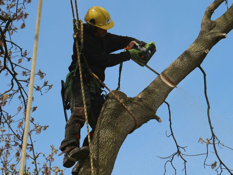 Grimpeur au casque jaune qui coupe une branche à la tronçonneuse, sur fond de ciel bleu