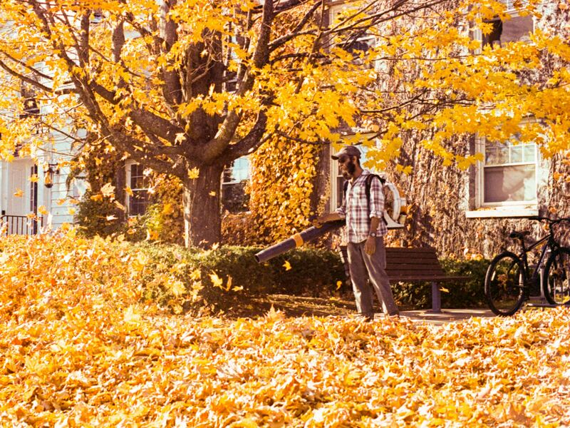Jardin couvert de feuilles d’automne jaunes, un jardinier avec un souffleur