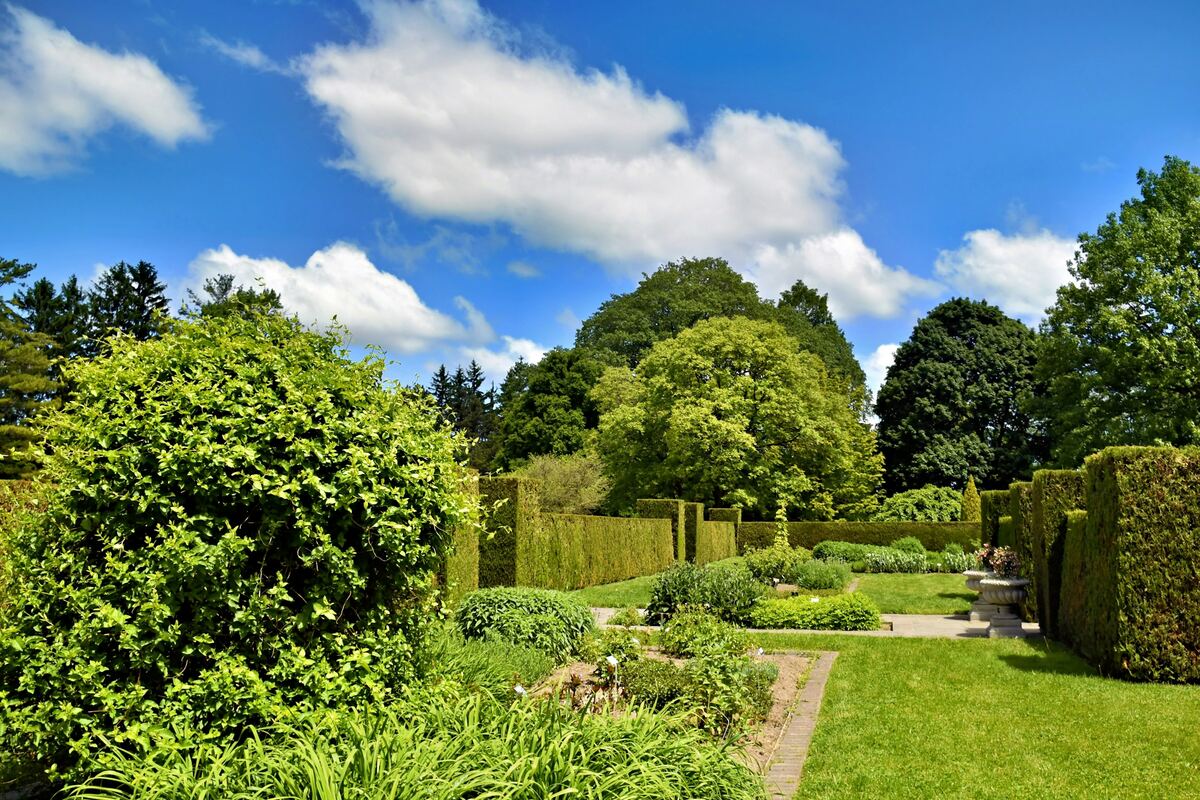 Jardin aux haies taillées et à la pelouse tondue, sous un ciel bleu